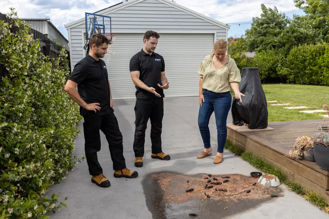 Blocked Drains Balwyn